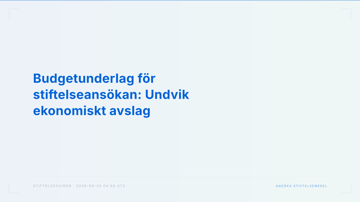 Budgetunderlag för stiftelseansökan: Undvik ekonomiskt avslag